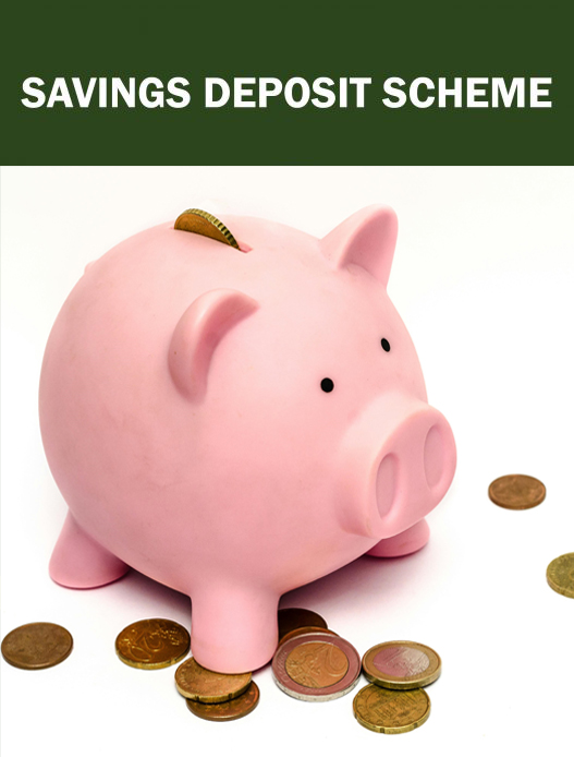 SAVINGS DEPOSIT